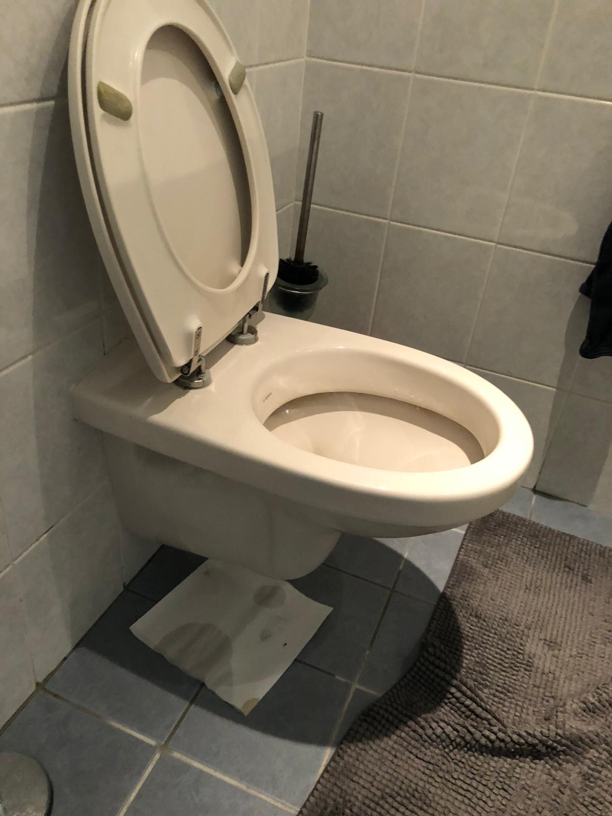 hangtoilet Voorthuizen